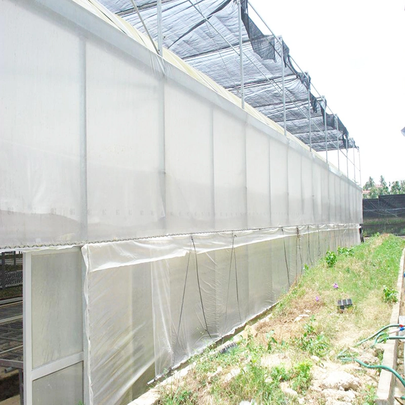 UV Resistant LDPE Film 200 Micron Greenhouse Plastic for Agriculture