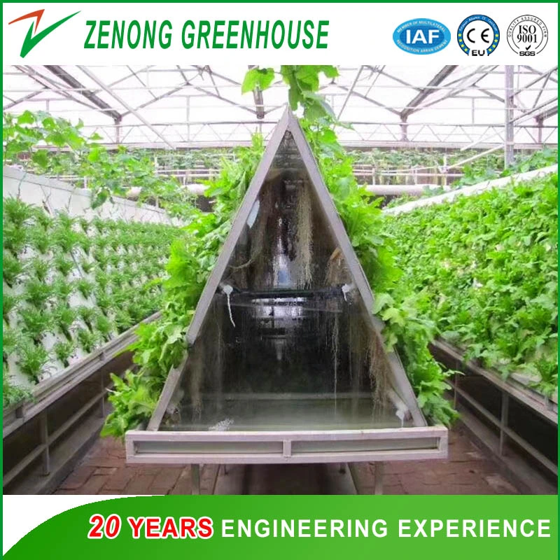 Soilless Culture Commercial Nft Hydroponics System Kinds of Soilless Culture Equipment