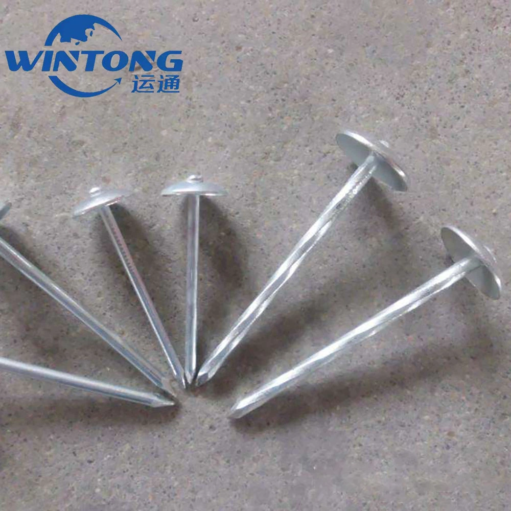 Galvanized Roofing Nail/Wire Nail with High quality/High cost performance  and Competition Price