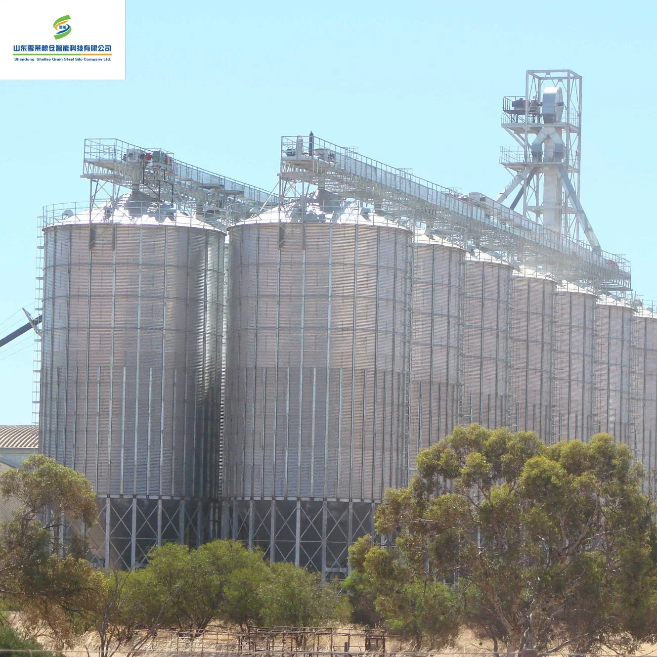 Grande capacidade de saída de fábrica de aço galvanizado Granja Multi-Type exploração suinícola exploração pecuária Silowith Alimentação preço razoável. 500ton Silo de grãos da parte inferior da tremonha