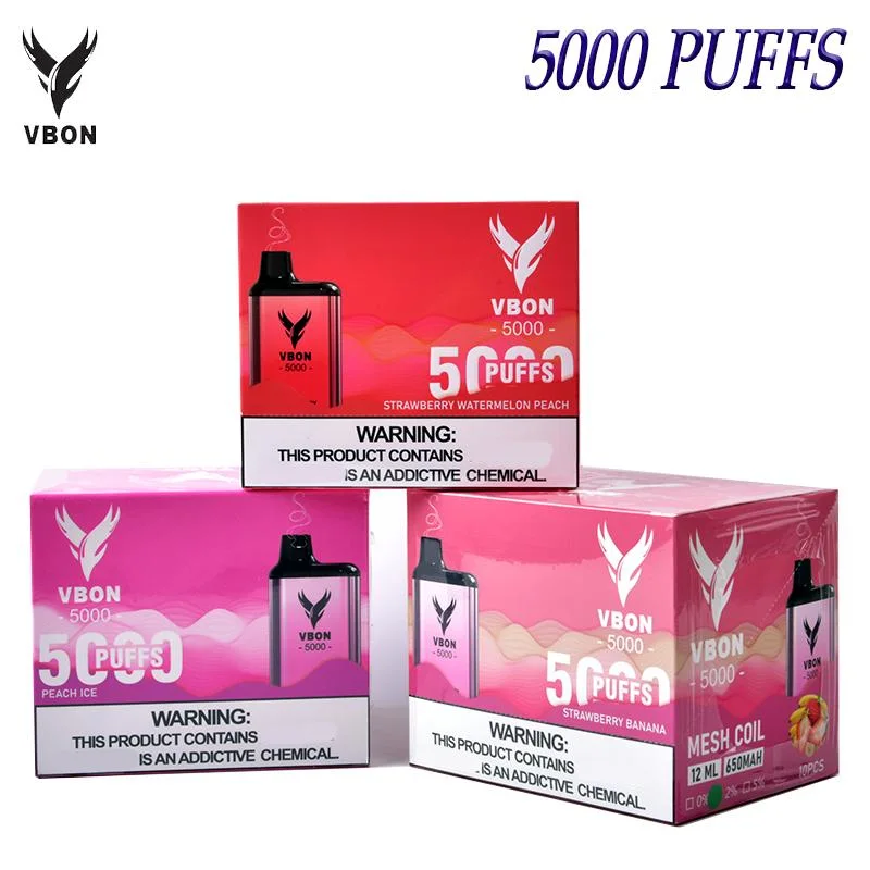 Cool Design Vbon Fruit Flavors 5000 Puffs vaporizador E Cigarette