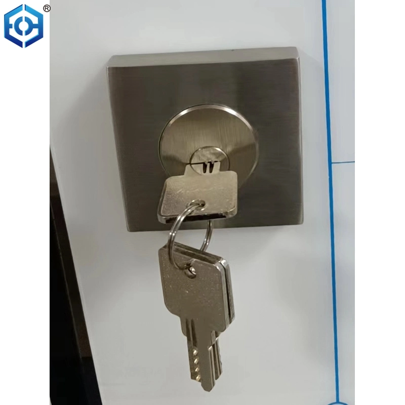 Stainless Steel Heavy Duty Commercial Door Handle Keyed Entry Lever Door Lock