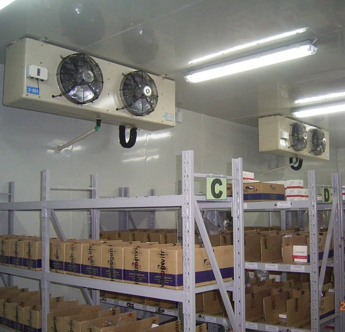 Customized Temperature Used Walk in Cooler Panels Cool Room Storage for Vegetable and Fruit