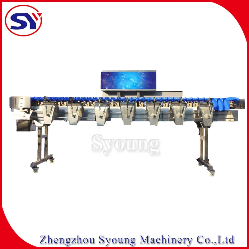 Multi-Level Seafood Sea Cucumber Weight Size Grading Classify Machine for Aquatic Industry