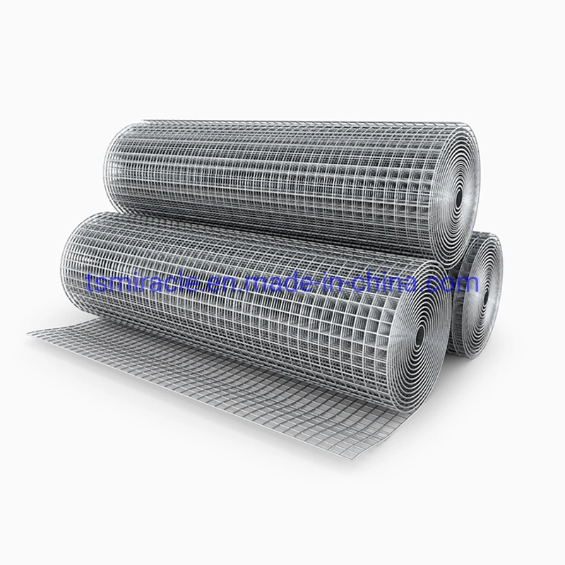 Китайский Производство оцинкованной/PVC покрытием сварной стальной проволоки сетка
