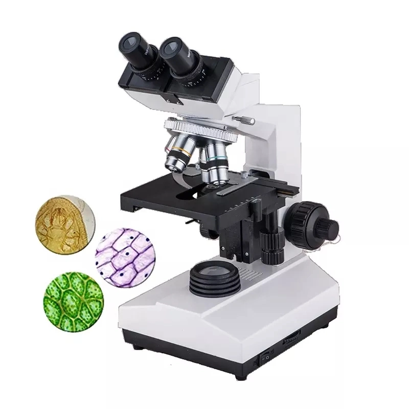 Laboratoire d'école d'hôpital Vet Compound LED Light Microscope portable Laboratory Microscope binoculaire vétérinaire biologique