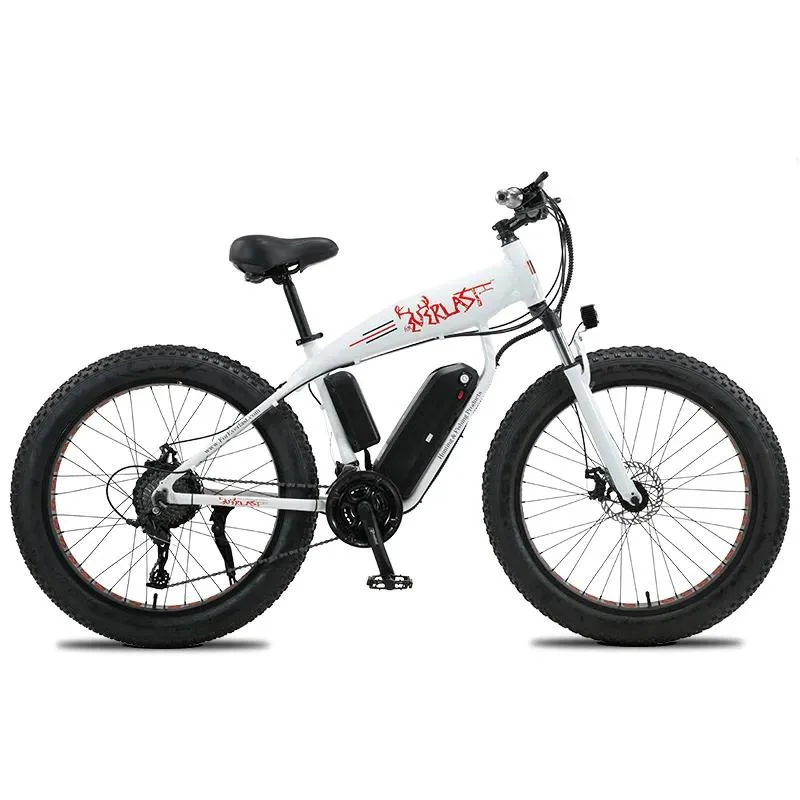 26*4.0 750W Big Power Fat Tire Electric Mountain E Bike/Snow Bike/Electric Bicycle with CE