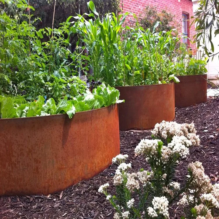 Rusty Garden Edging/Steel Flower Border