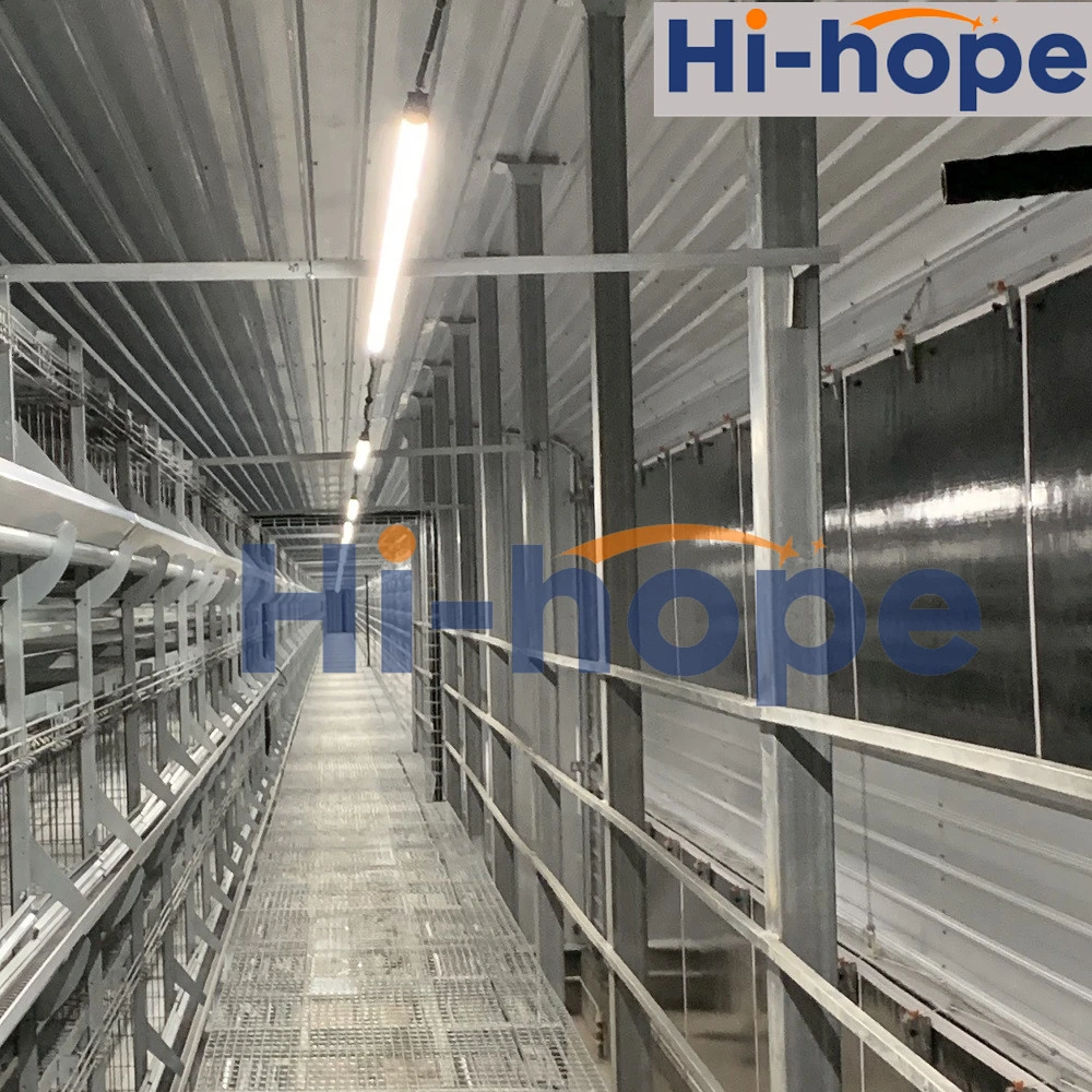 High quality/High cost performance  Fresh Tunnel Door System Poultry Equipment Price