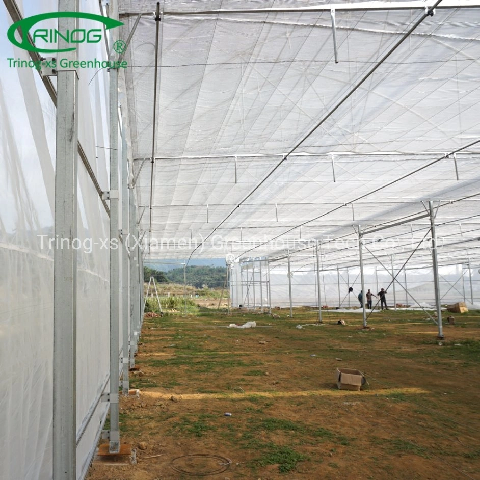 Turnkey solution completed farm house with plastic film cover