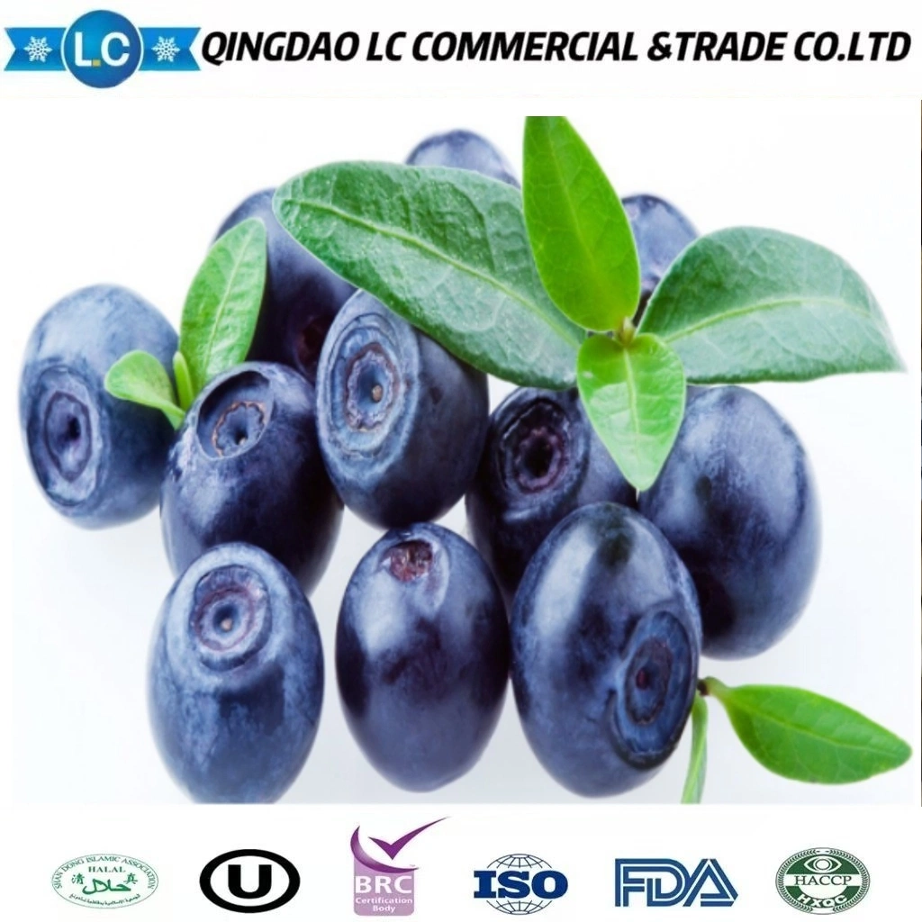 IQF Frozen Blueberry for Wholesales with Best Price and Good Quality