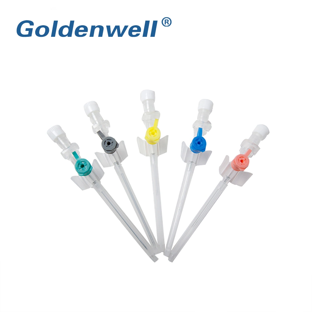 Hot Sale Disposable Medical IV Cannula with Wing Injection Port