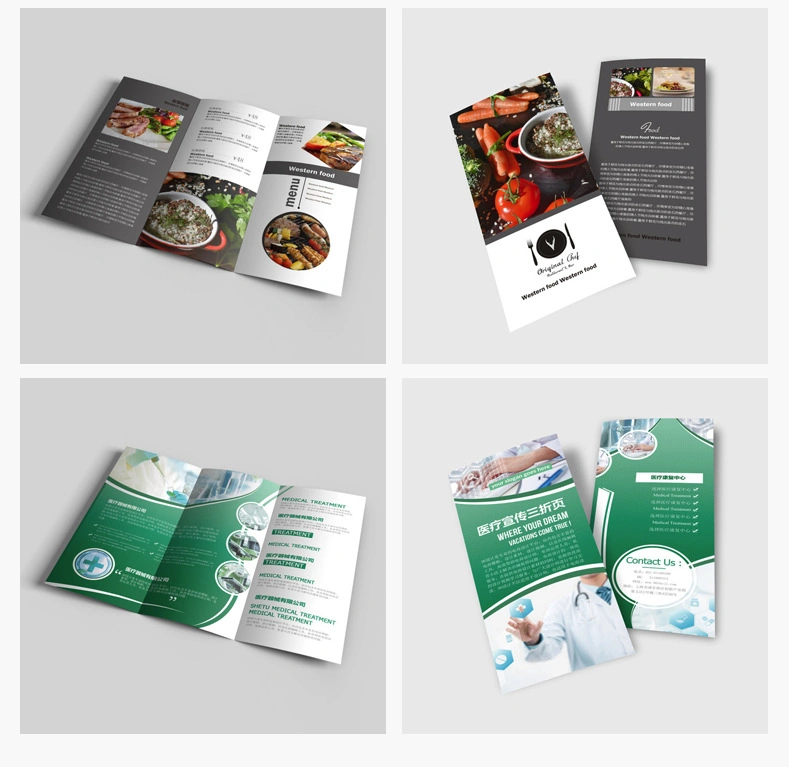 Custom Paper Printed Instruction Folding Leaflet Die Cut Brochure Manual