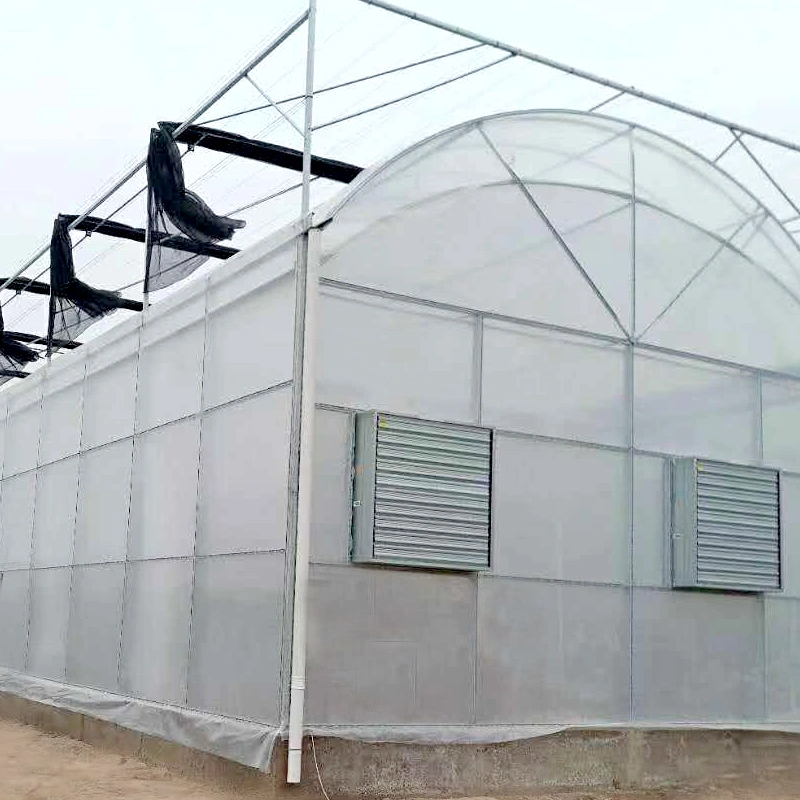 200 Mircon Plastic Film Tunnel Greenhouse for Tomato