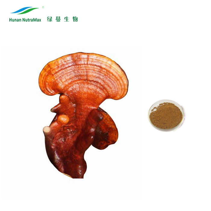 Lingzhi Shell-Broken Ganoderma Lucidum Spore Powder with Free Samples