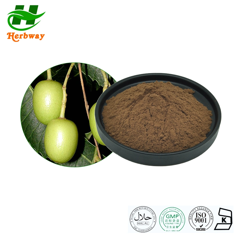 Herbway Azadirachtin Extrakt Pulver Azadriachta Indica Extrakt Pulver Neem Extrakt Pulver Neem Tree Extract Azadirachtin Pulver Pulver für Insektizid