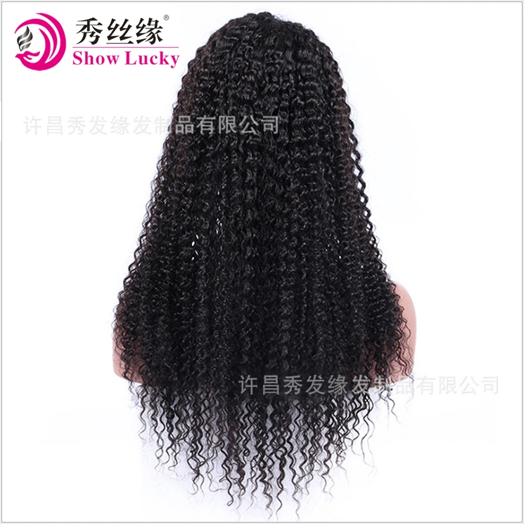 Fashion Beauty Indian Hair Women Wig Natural Kinky Curly Full Lace Remy Human Hair Wig Pre-Plucked Lace Front Wig