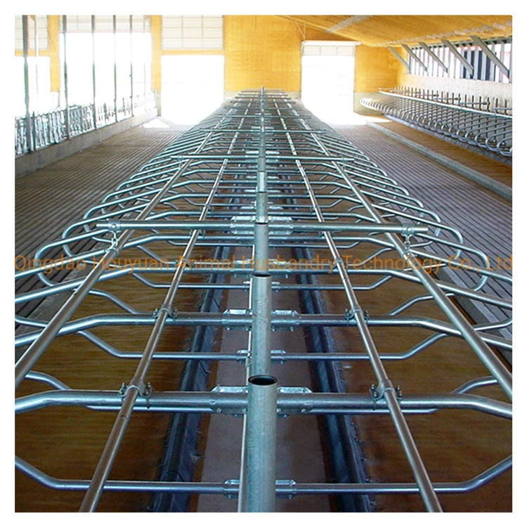 Best Selling Comfortable Farm Equipment Galvanized Cow Free Stall Livestock Machinery