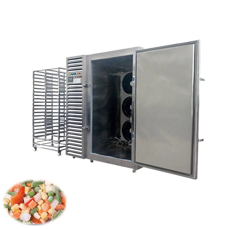 178L Flash Freezing Machine Meat Frozen Machine with Trayer From China