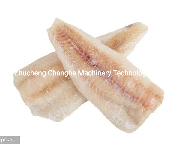 Changhe Hand Bone Saw Manual Bone Cutter 1.5kw 1650 Fish Band Saw Machine with 6 Blades