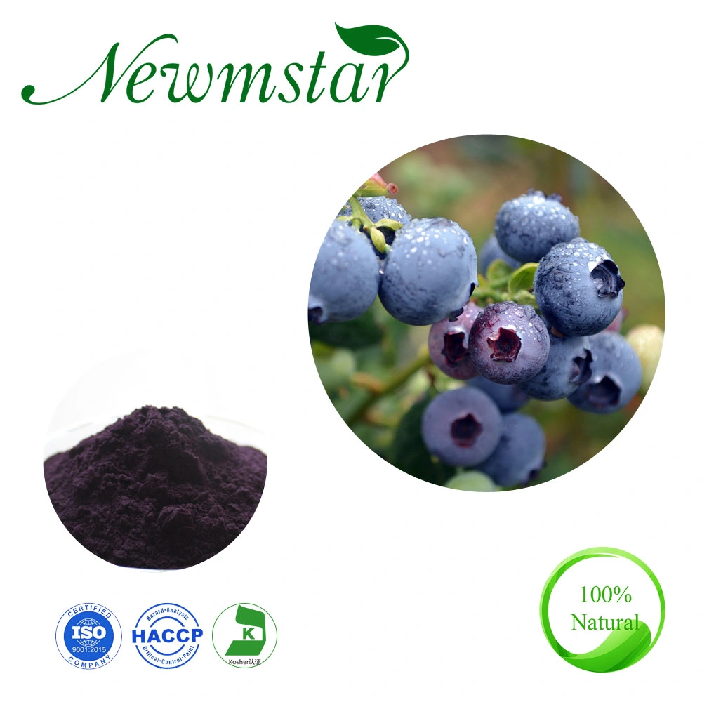 Blueberry Extract for Supplement Powder 25% Anthocyanidins Health Food Additive Eye Health