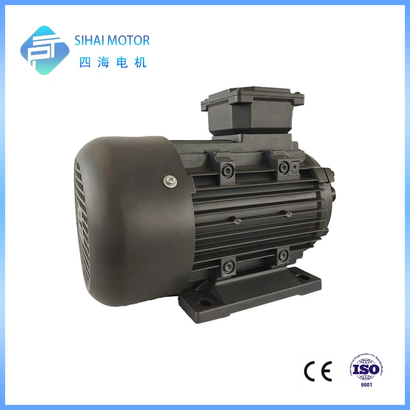 22kw 2 Pole High Efficiency AC Engine Three Phase Motor