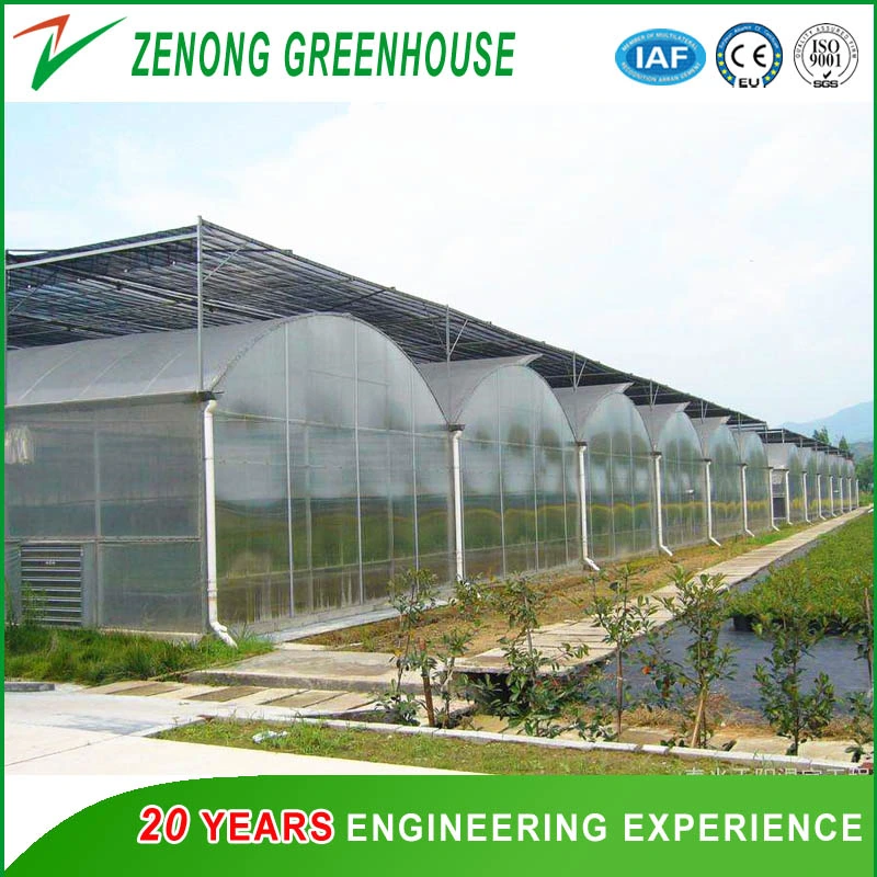 Agricultural Hydroponic Systems for Greenhouse for Exhibition/Seed-Breeding/Flower/Vegetable/Eco Restaurant