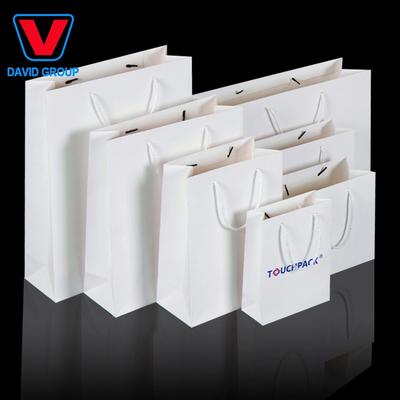 Custom Printing Luxury Apparel Clothes Garment Shoe Packaging Machine Biodegradable Handle Shopping Paper Gift Bags
