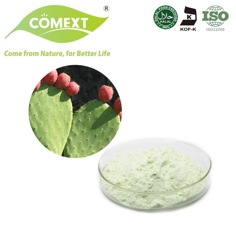 Comext 100% Natural Cactus Fruit Extract Powder Nopal Cactus Extract