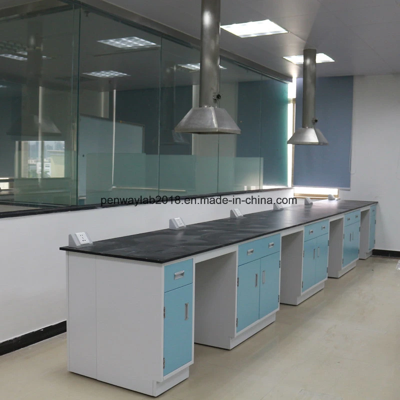 Stainless Steel Painted Steel MDF Material Laboratory Furniture