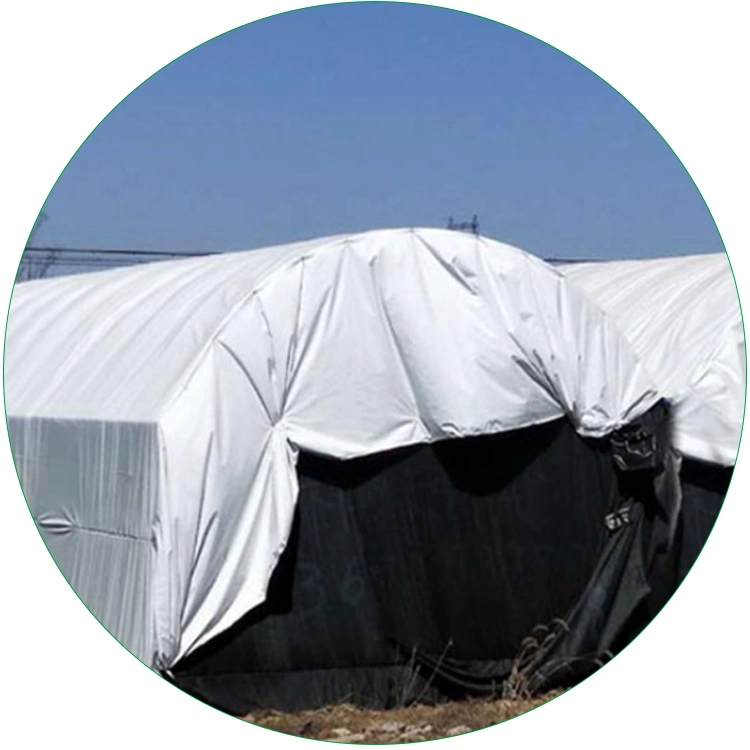 Factory 200 Micron Customized Size Agricultural Plastic Greenhouse PE Panda Black White Greenhouse Film