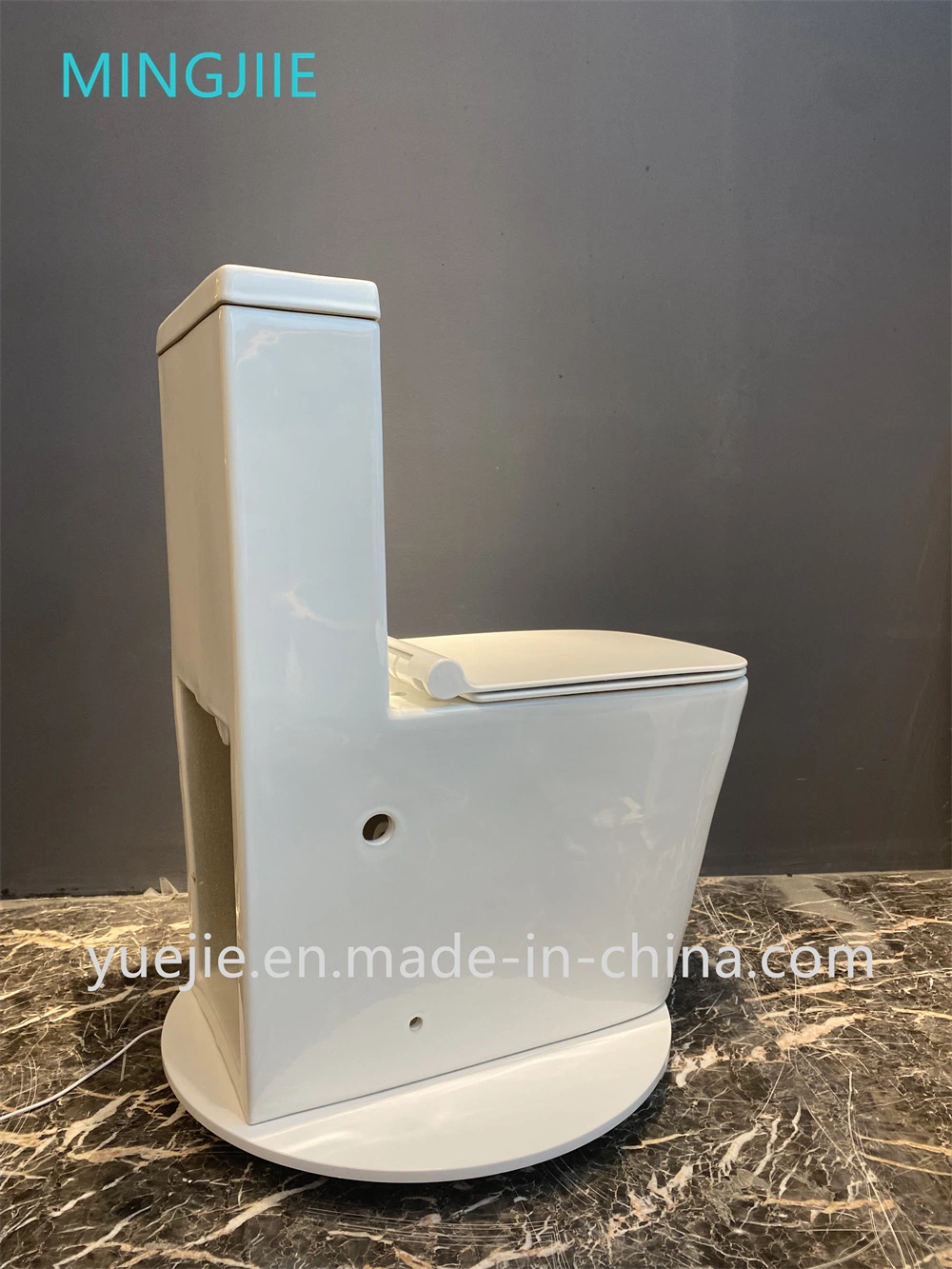 European Style Sanitary Ware Wc Toilets Modern Design Washdown One-Piece Ceramic Toilet