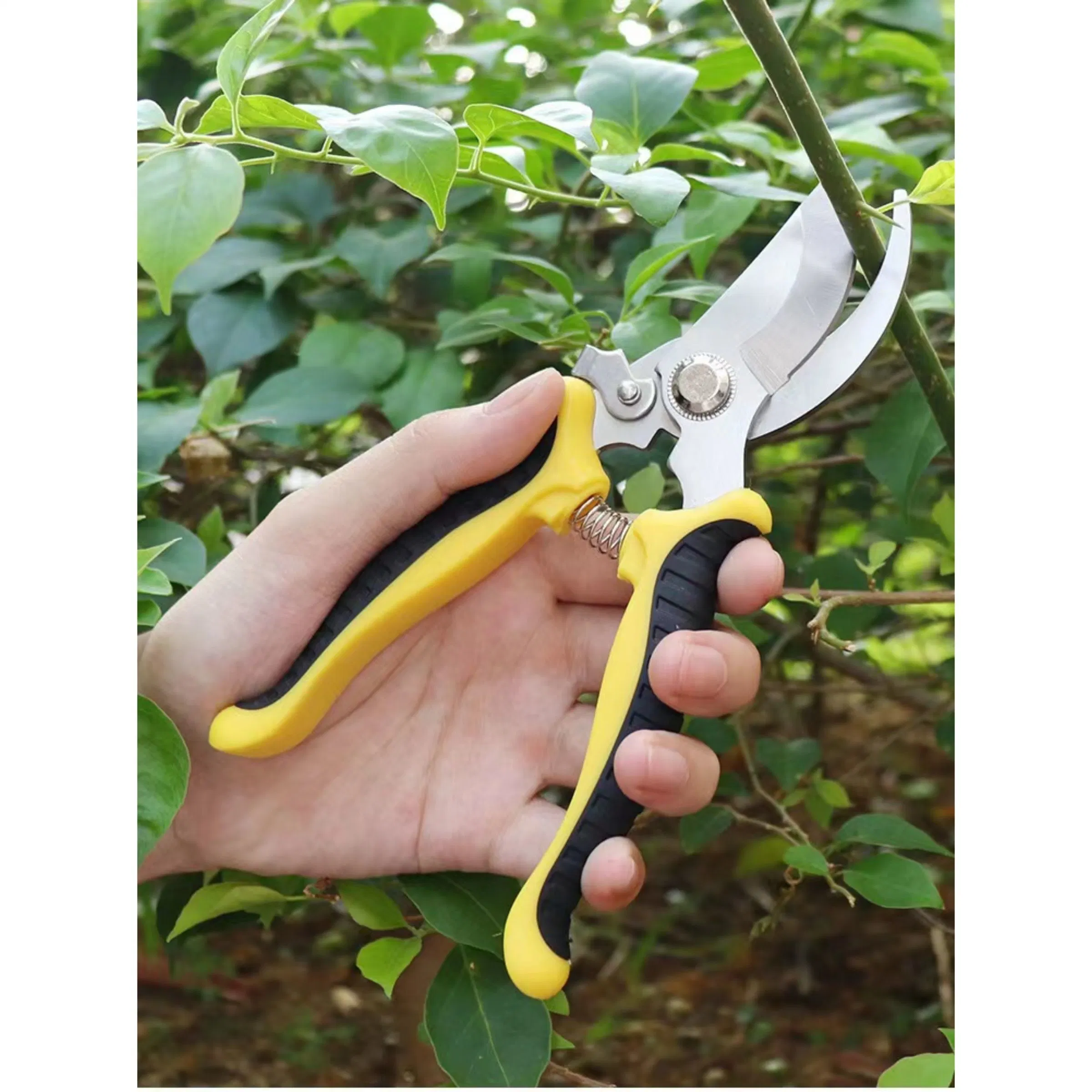 Garden Shears, Sharp Bypass Pruning Shears, Leaf Scissor, Great for Hands. Secateurs, Hand Pruner, Clippers Wyz10150