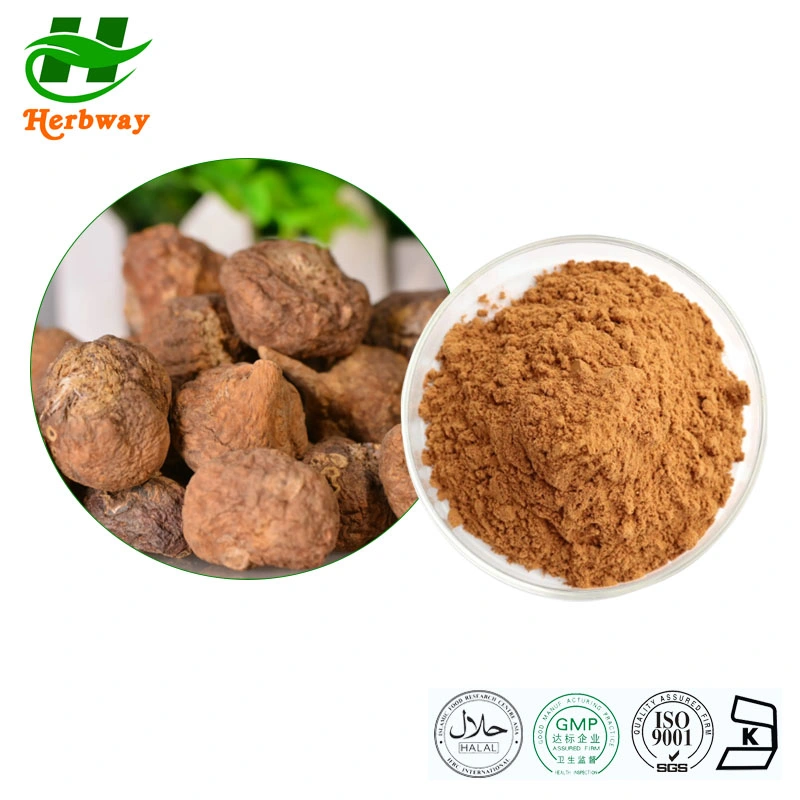 Herbway Factory Supply High Quality Pure Natural Herbal Plant 10: 1 Maca Root Powder Extract