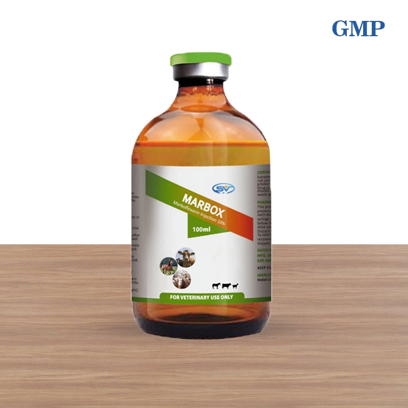 Respiratory Tract Infection Veterinary Drug: 10% Mapofloxacin Injection for The Treatment of Bacterial Infections
