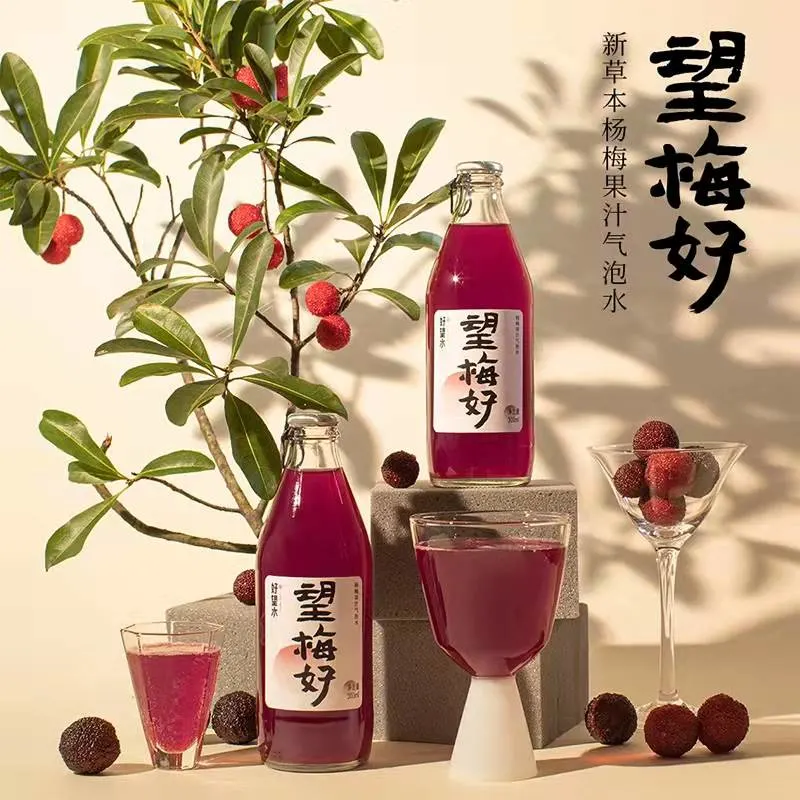 Private Label Beverage OEM Waxberry Juice 300ml*24bottles