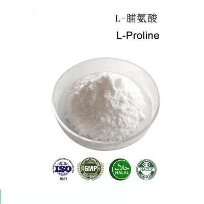 Usine Suuply L pur de qualité alimentaire de la proline acide aminé L-proline poudre CAS 147-85-3 99 % L-proline en poudre en vrac