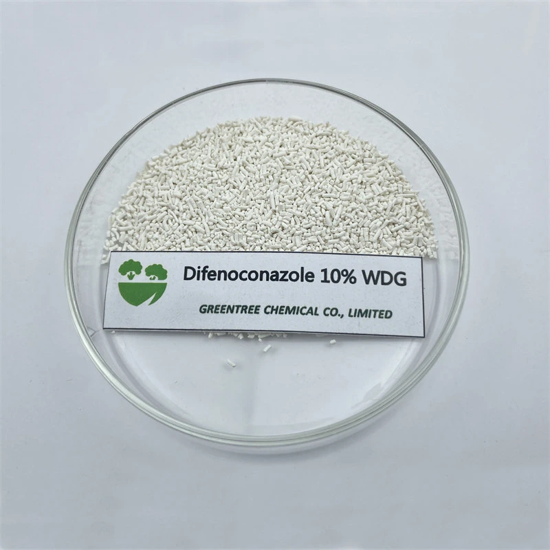 Pesticide CAS No. 119446-68-3 Difenoconazole 10%Wdg