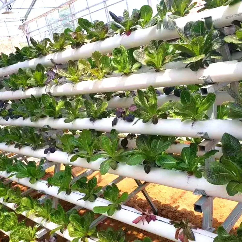 Estufas Multi-Span gases com efeito de estufa em policarbonato agrícolas para produtos hortícolas