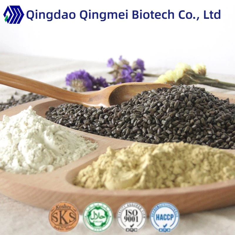 Factory Supply Cassia Seed Concentrated Powder