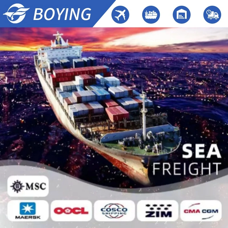 Safe and Professional Freight Forwarder Sea Shipping Agent Door to Door Service From China to USA UK Europe