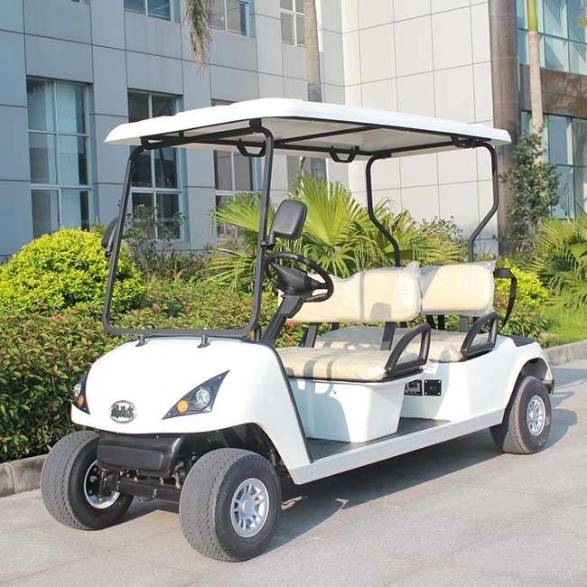 Professional Transportation Electric Mini Vehicle Lithium Battery Golf Cart (DG-C4)