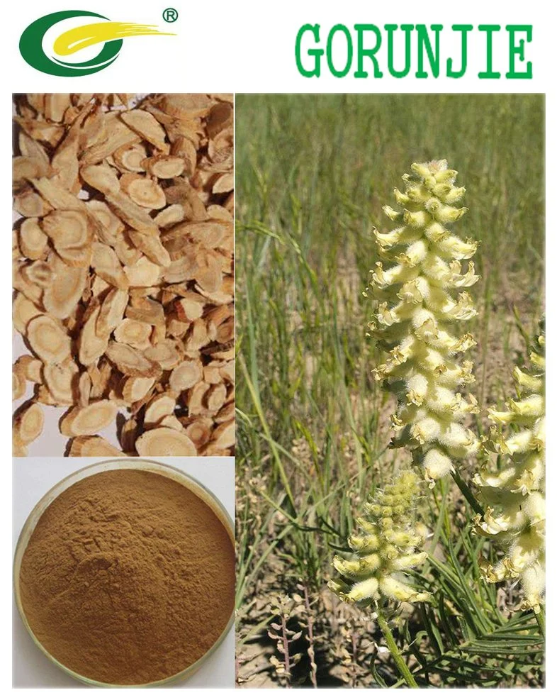 L'astragaloside IV 10%15%/d'Astragalus polysaccharide de 90 % de poudre en vrac Service OEM