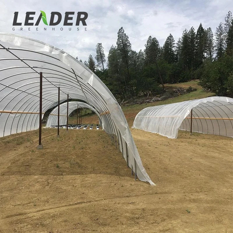 Single-Span Agricultural Greenhouses Produce Plastic-Covered Low-Cost Growing Greenhouses Farming