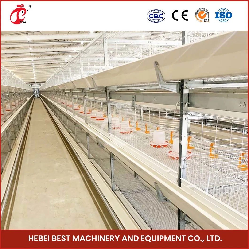 Bestchickencage China Square Chicken Coop Factory H Frame Automatic Boriler Cages OEM Custom Maintenance Free and Recyclable Chicken Cage?