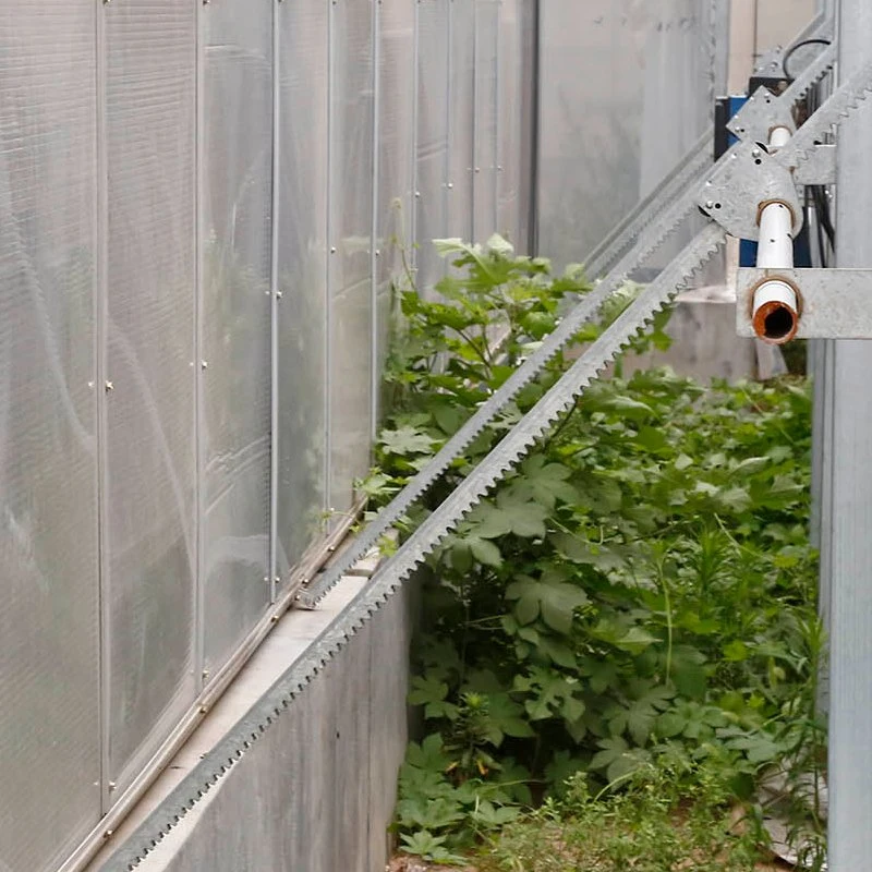 Film High Tunnel Systems Agricultural Greenhouses