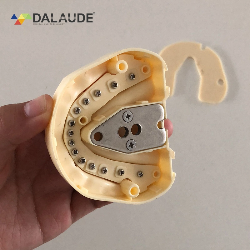 Detachable Electrical Oral Simulation Practice System Clinical Teaching Simulation Unit