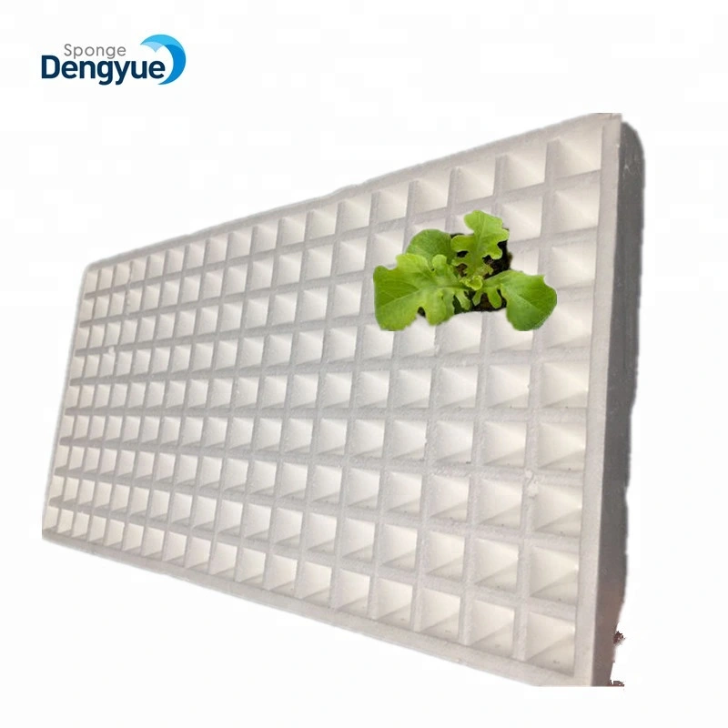 Light Weight Waterproof 200 Cells Hydroponic Polystyrene Seedling Trays