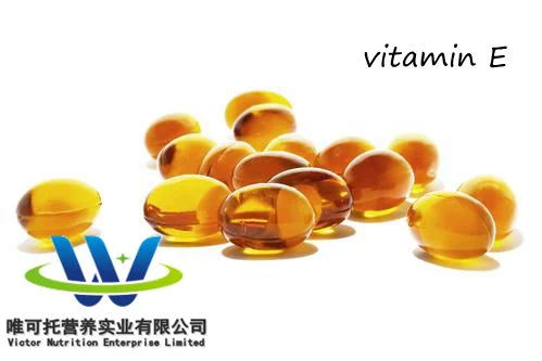 Natural &Synthetic Vitamin E /Tocopherol Anti-Oxidant Halal Certified Food Additive