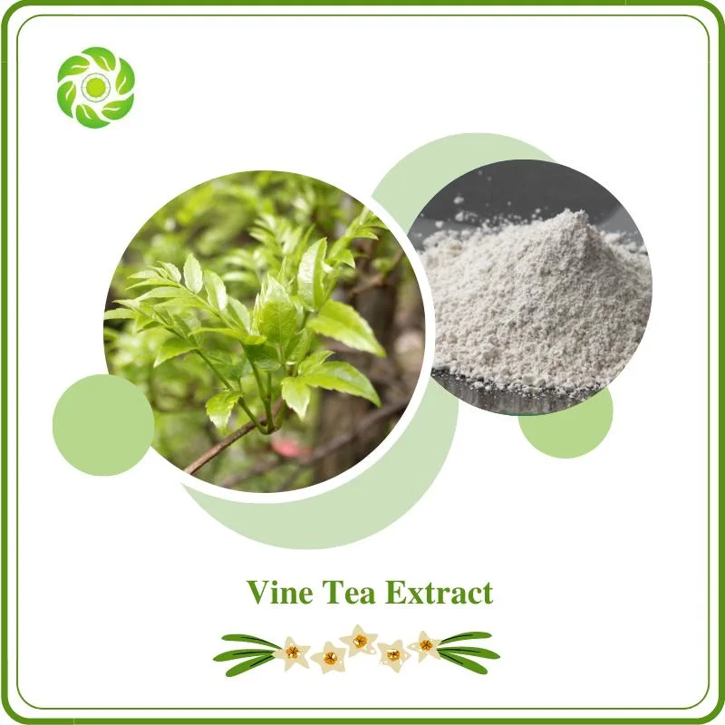 Bienestar mundial Biotech Extracto Natural de té Vino con 50% 80% 90% 98% Dihydromyricetin para el suplemento